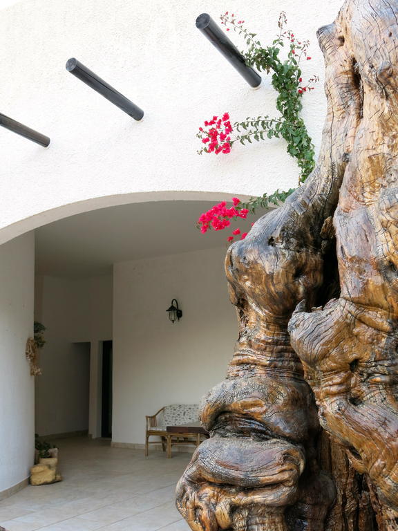 Agriturismo Tenuta Del Morige Galatone Bilik gambar